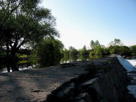 Vadregényes táj